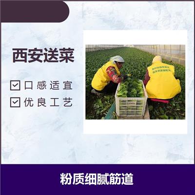 西安的蔬菜配送 杂质少 良好的蒸煮特性