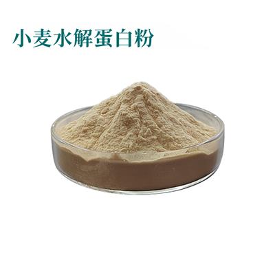 小麦水解蛋白粉