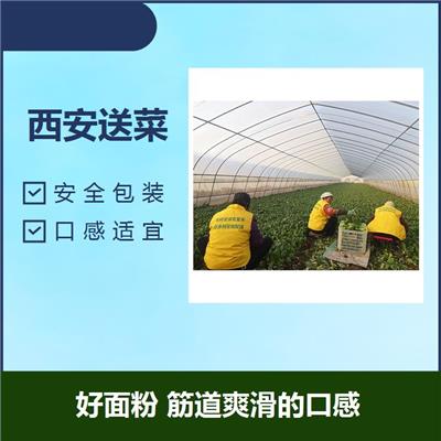 西安周边蔬菜配送 多种组合 买的舒心 吃的放心