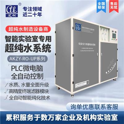 艾柯**纯水机**品牌 工业纯水机 **纯水系统 去离子水设备 厂家报价