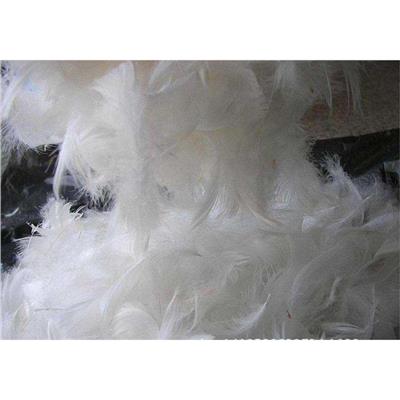 广州 进口资质清关代理 鹅毛鹅绒进口费用