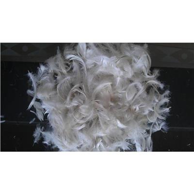 羽绒 进口通关要多久 政策要求 驼鸟毛进口报关