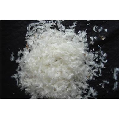 上海 进口 羽绒进口清关