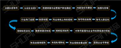 **账号运营：开户、蓝v、视频制作运营、关键词排名、**广告