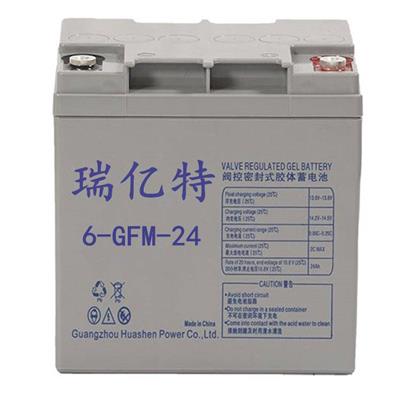 瑞亿特蓄电池6-GFM-24 12V24AH直流屏 EPS UPS电源配套