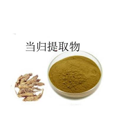 当归提取物当归粉