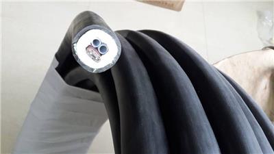 M/TPE1S-G2-P8伴热取样管TCK/8MM*2-220