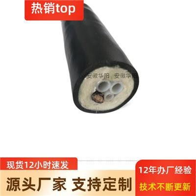 供应定制生产防爆耐腐采样伴热管线 DLTZ-SBNHPD高温180度