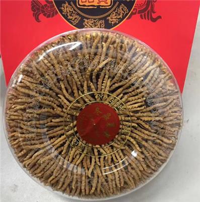 杭州长期回收虫草-长期回收虫草网站