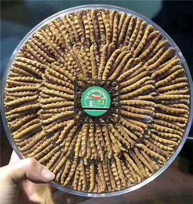 杭州回收散装虫草-本地虫草回收老店