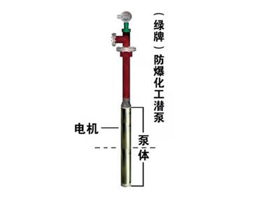 天津绿牌变频化工潜液泵Ga等级防爆