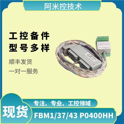 FBM204 4 通道 0-20 mA 模拟量输入