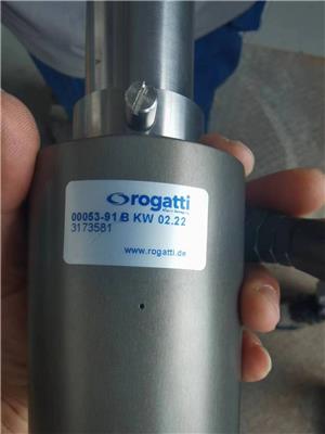 德国rogatti平面联轴器NW5-G1/8 FF用于食品加工行业