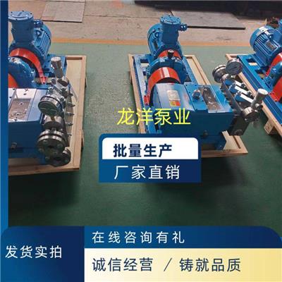排污高压泵 回流柱塞泵 补充高压水泵 输出往复泵 给料高压泵柱塞泵