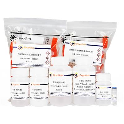 碧云天Beyotime质粒大量抽提试剂kit盒