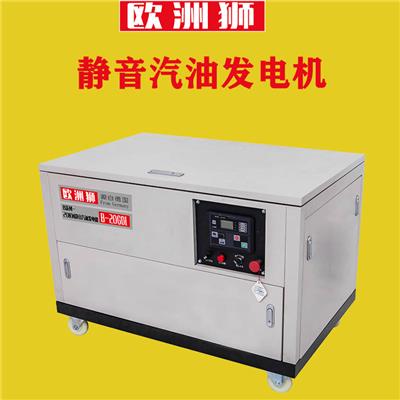 10千瓦双电压汽油发电机电启动