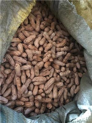 花生进口清关所需单证