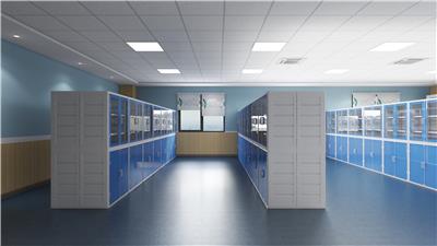 上海领峰 化学药品室 化学药品柜 学校实验室设备厂家 器材11