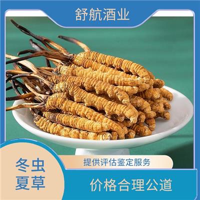 花都区冬虫夏草神像 省时省力免于奔波 童叟无欺 更放心
