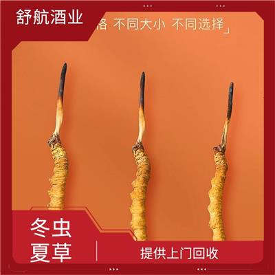 珠海市礼盒装冬虫夏草 提供上门回收