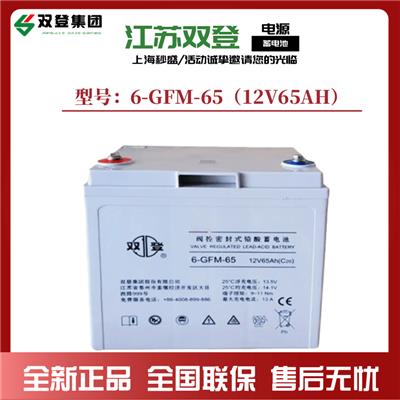 江西上饶双登蓄电池6-GFM-65参数