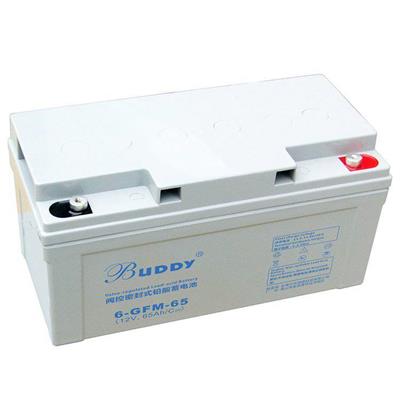 宝迪Buddy蓄电池6-GFM-80阀控式密封铅酸蓄电瓶12V80AH通讯设备用