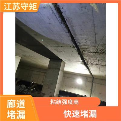 输煤廊道漏水维修 快速堵漏 渗透能力强 固化时间短