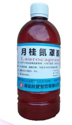 药用级月桂氮䓬酮500ml/瓶 油溶氮酮cp2020 渗透剂