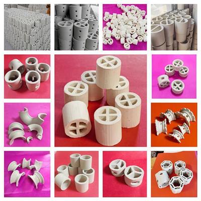 PE聚乙烯鲍尔环 塑料填料 耐低温大通量 RPP PP CPVC PVC HDPE