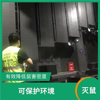 石龙灭鼠公司 降低传播率 长效防控防治复发