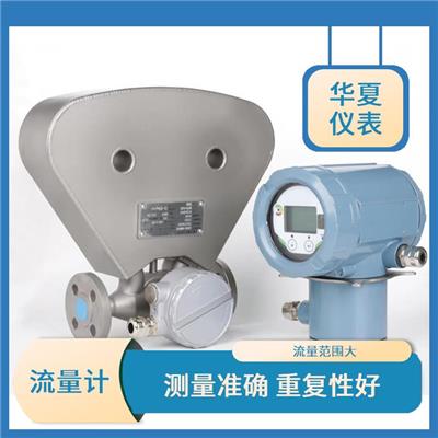 防腐型质量流量计 测量准确 重复性好 采用插入式结构