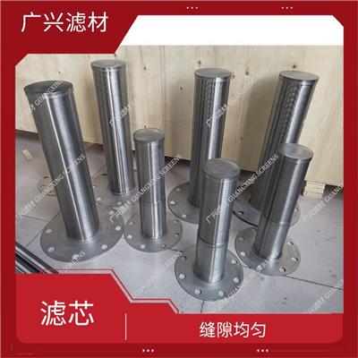 专业生产啤酒滤芯 防阻塞设计 表面光滑