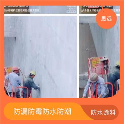 改性环氧树脂防腐 创造绿色环境 无漏涂透底现象