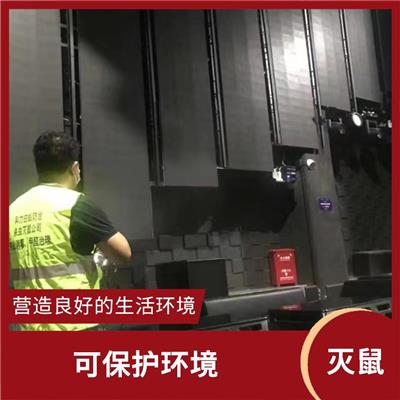 石排灭鼠公司 减少发病率 量身定制除鼠效率高