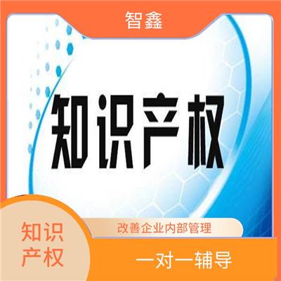 知识产权贯标申报 省时省力 全程执行控制计划