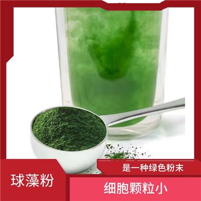 裸藻粉价格 生长迅速 富含EPA等不饱和脂肪酸
