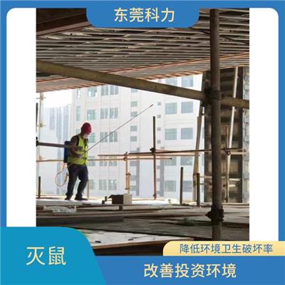 黄江灭鼠公司 定期巡检服务 量身定制除鼠效率高