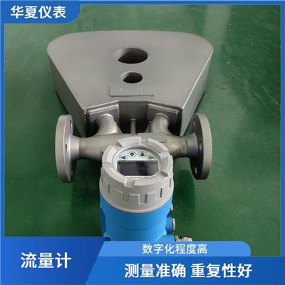 低温质量流量计 反应速度快 测量准确度高