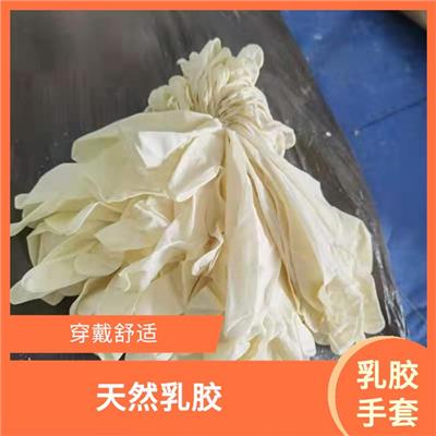 12寸牙科诊所手套 高弹性 袖口卷边方便穿戴