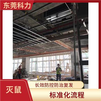 南城灭鼠公司 上门现场勘查 营造良好的生活环境