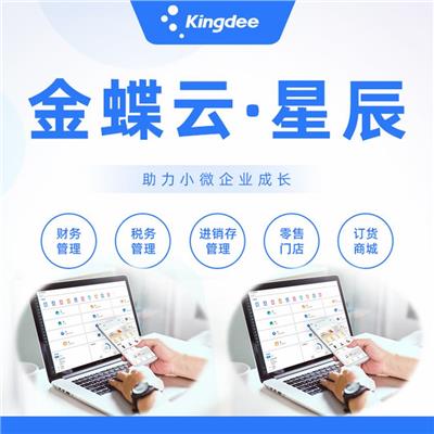 金蝶云 云星辰 财务软件 进销存软件 erp生产管理软件 批次保质期管控 免安装 开通即用