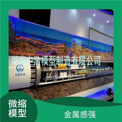 异型盾构机模型 适于长期展示 用剖示与的方法展示