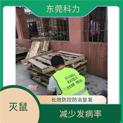 寮步灭鼠公司 改善投资环境 降低病媒生物密度