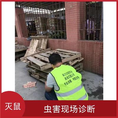 樟木头灭鼠公司 建立长效体系 可避免对财产造成损害