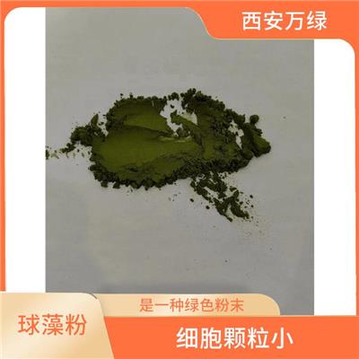 微拟球藻粉价格 细胞颗粒小 富含营养物质