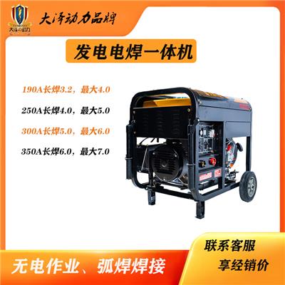 250A汽油发电电焊机TOTO250A-W启动简单