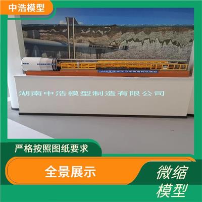 敞胸式盾体模型 低电压安全设备 按要求喷漆实际颜色