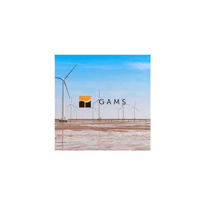 提供gams解决方案和培训_本地化服务