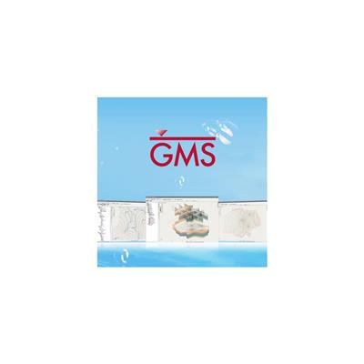 放心购买_gms软件教程及介绍