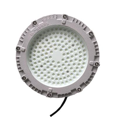 LED免维护三防灯SZSW1160
